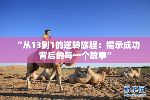 “从13到1的逆转旅程：揭示成功背后的每一个故事”