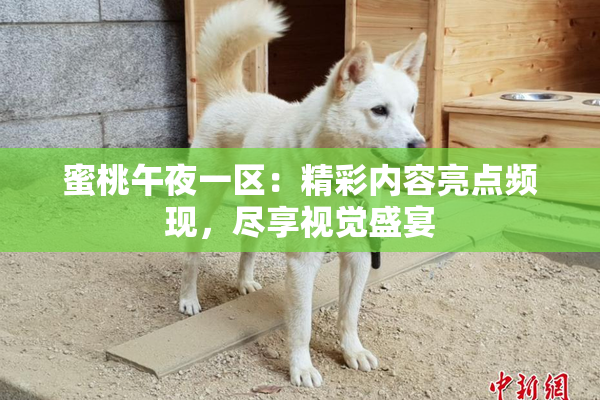 蜜桃午夜一区：精彩内容亮点频现，尽享视觉盛宴