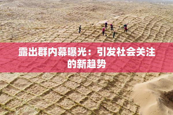 露出群内幕曝光：引发社会关注的新趋势