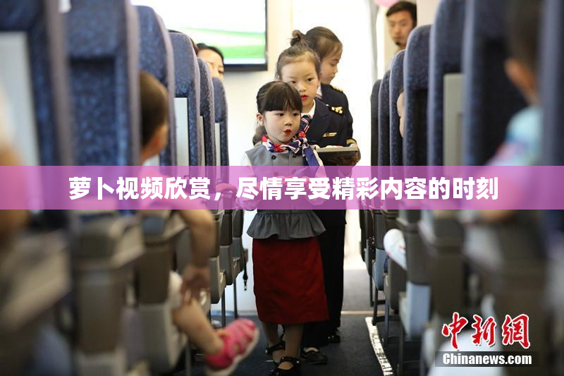 萝卜视频欣赏，尽情享受精彩内容的时刻
