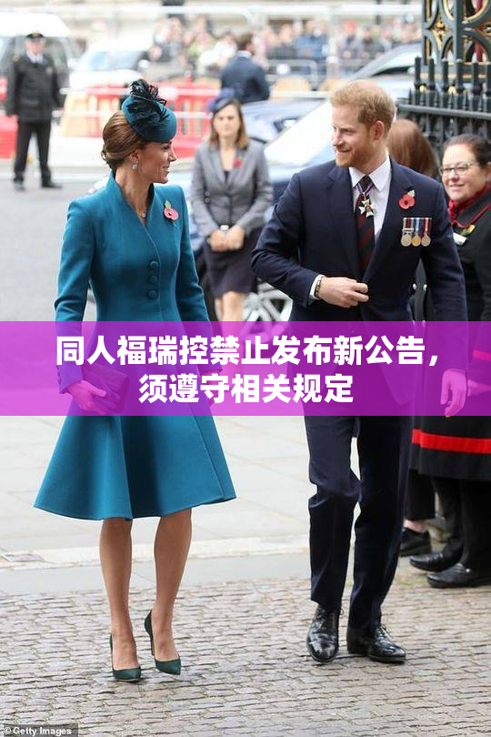 同人福瑞控禁止发布新公告，须遵守相关规定