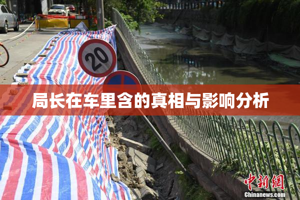 局长在车里含的真相与影响分析