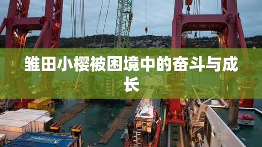 雏田小樱被困境中的奋斗与成长
