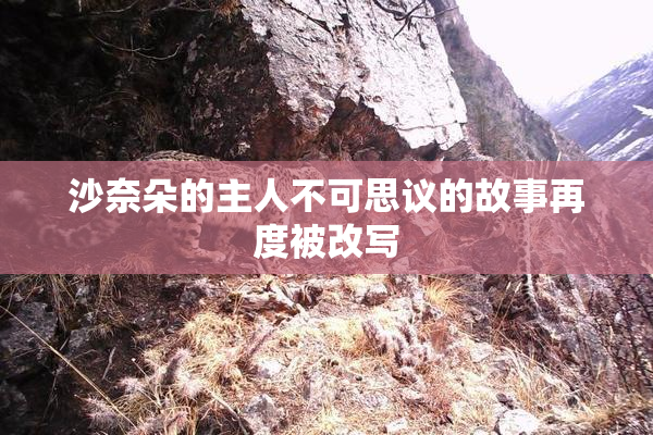 沙奈朵的主人不可思议的故事再度被改写