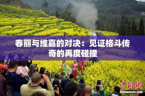 春丽与维嘉的对决：见证格斗传奇的再度碰撞