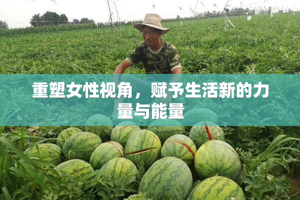 重塑女性视角，赋予生活新的力量与能量