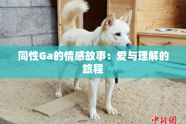 同性Ga的情感故事：爱与理解的旅程