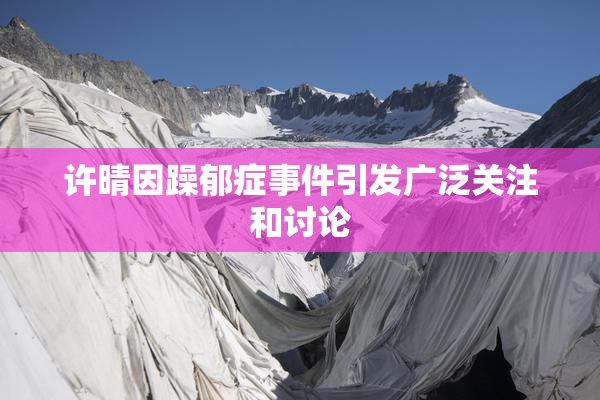 许晴因躁郁症事件引发广泛关注和讨论