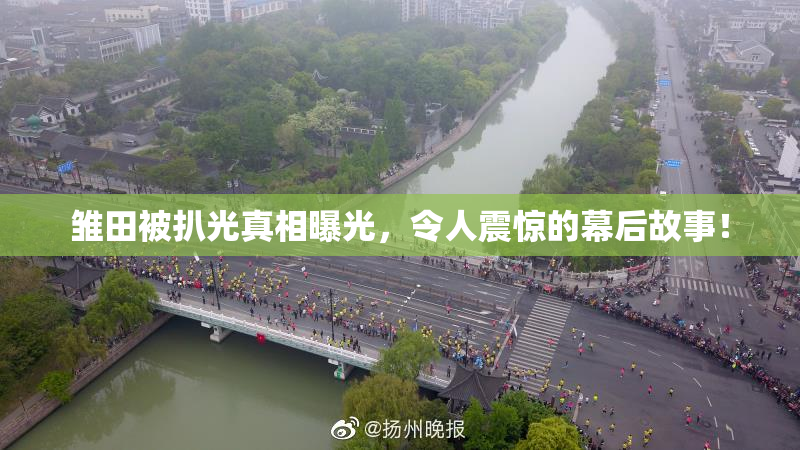雏田被扒光真相曝光，令人震惊的幕后故事！
