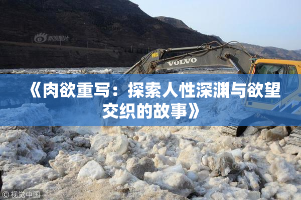 《肉欲重写：探索人性深渊与欲望交织的故事》