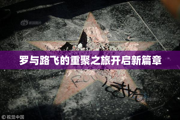 罗与路飞的重聚之旅开启新篇章
