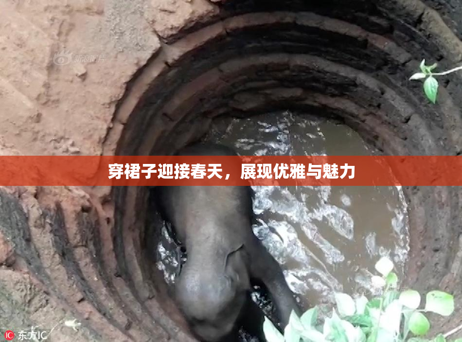 穿裙子迎接春天，展现优雅与魅力