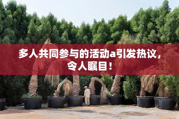 多人共同参与的活动a引发热议，令人瞩目！