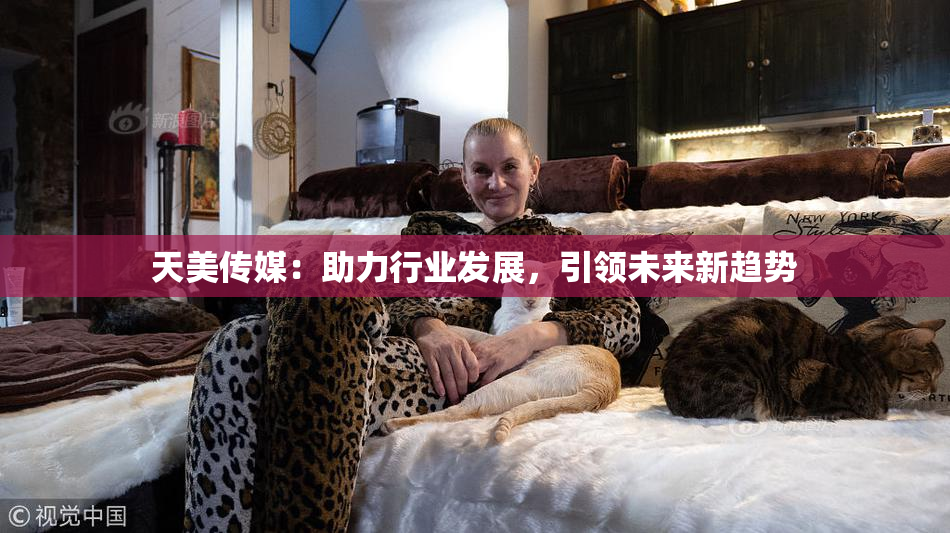 天美传媒：助力行业发展，引领未来新趋势