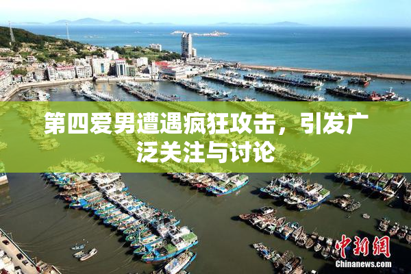 第四爱男遭遇疯狂攻击，引发广泛关注与讨论
