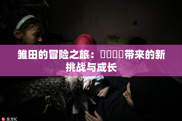 雏田的冒险之旅：❌‌❌‌带来的新挑战与成长