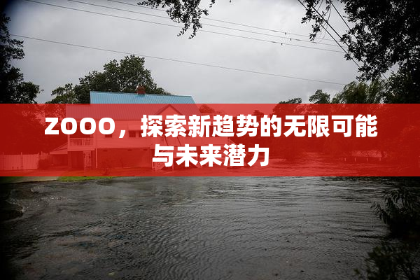 ZOOO，探索新趋势的无限可能与未来潜力