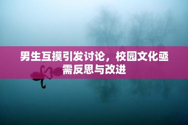 男生互摸引发讨论，校园文化亟需反思与改进