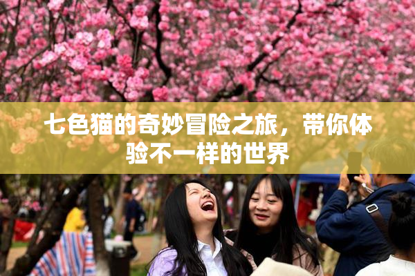 七色猫的奇妙冒险之旅，带你体验不一样的世界