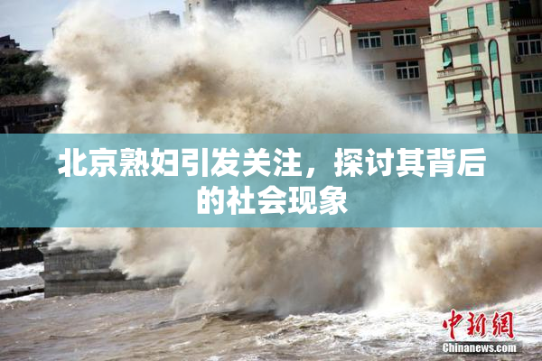 北京熟妇引发关注，探讨其背后的社会现象