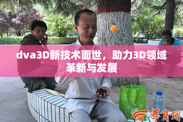 dva3D新技术面世，助力3D领域革新与发展