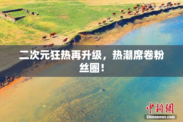 二次元狂热再升级，热潮席卷粉丝圈！