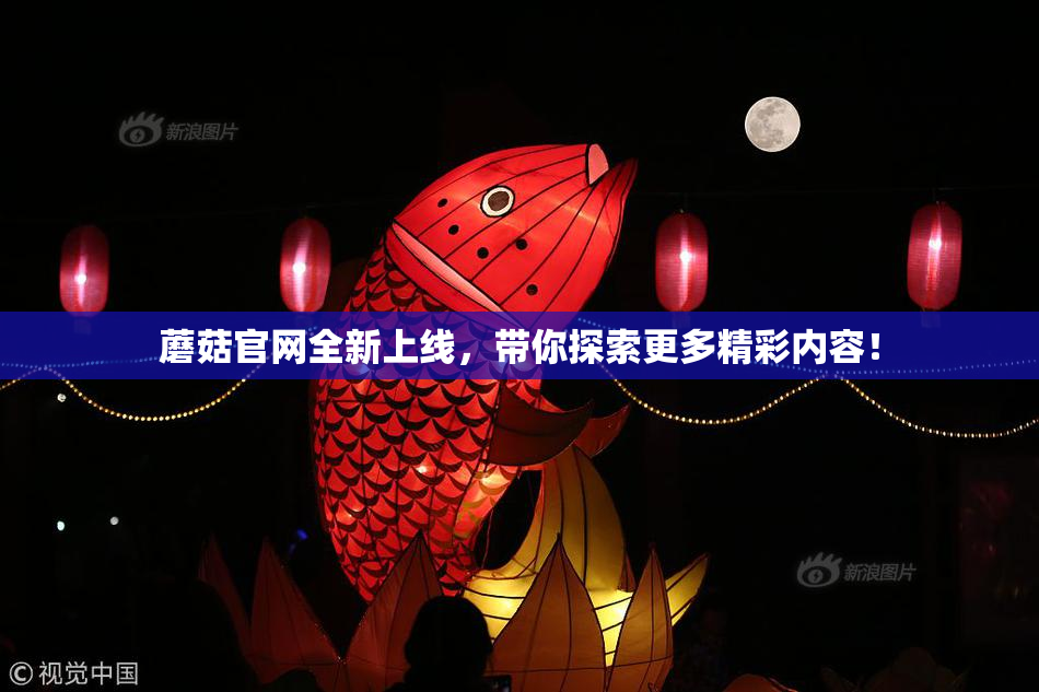 蘑菇官网全新上线，带你探索更多精彩内容！