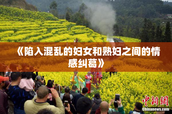 《陷入混乱的妇女和熟妇之间的情感纠葛》
