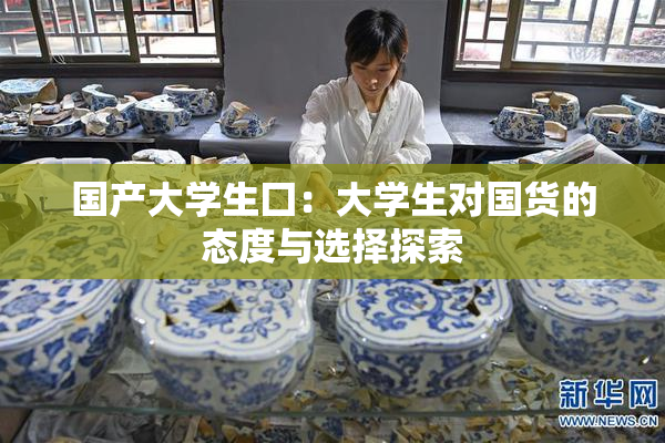 国产大学生囗：大学生对国货的态度与选择探索