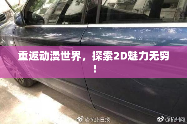 重返动漫世界，探索2D魅力无穷！