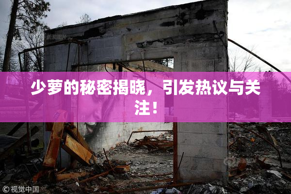 少萝的秘密揭晓，引发热议与关注！