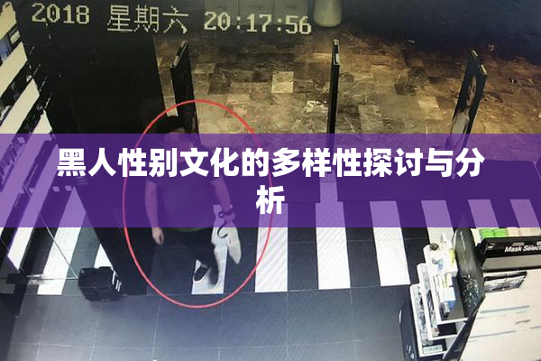黑人性别文化的多样性探讨与分析