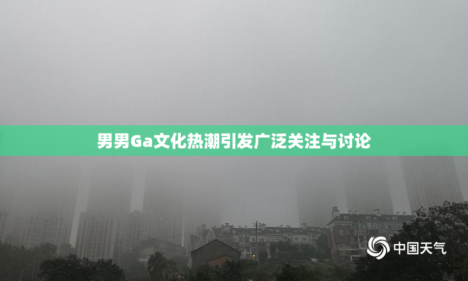 男男Ga文化热潮引发广泛关注与讨论