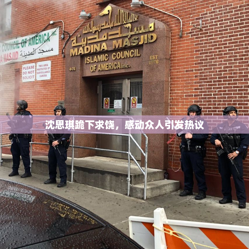 沈思琪跪下求饶，感动众人引发热议