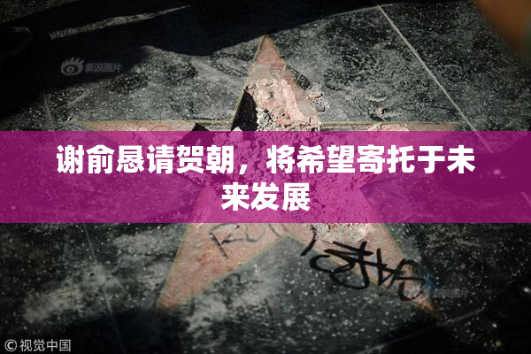 谢俞恳请贺朝，将希望寄托于未来发展