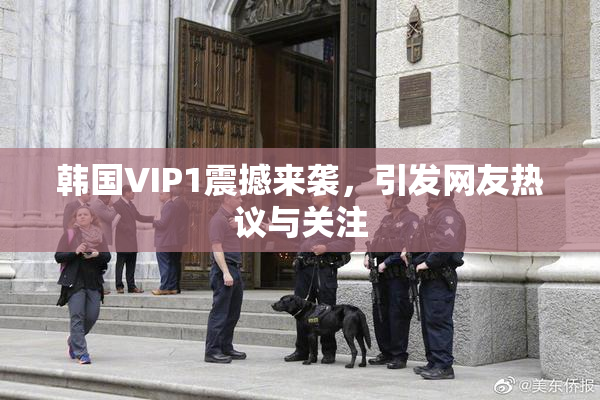 韩国VIP1震撼来袭，引发网友热议与关注