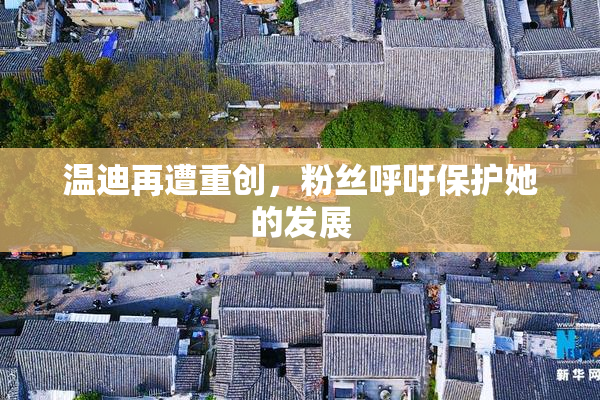 温迪再遭重创，粉丝呼吁保护她的发展