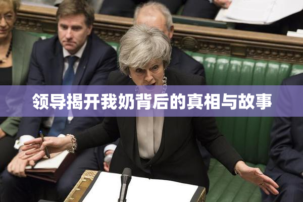 领导揭开我奶背后的真相与故事