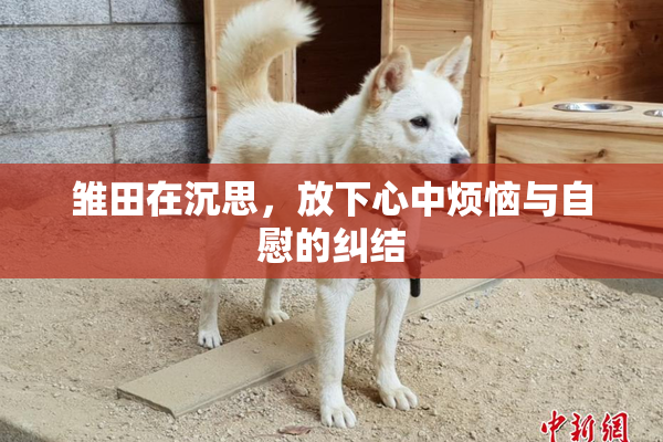 雏田在沉思，放下心中烦恼与自慰的纠结