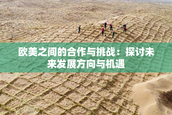 欧美之间的合作与挑战：探讨未来发展方向与机遇