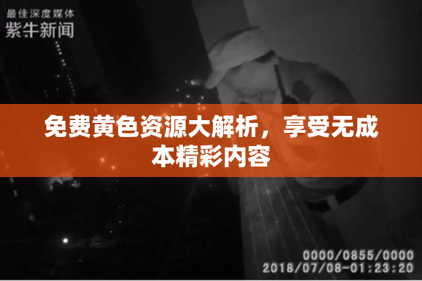 免费黄色资源大解析，享受无成本精彩内容