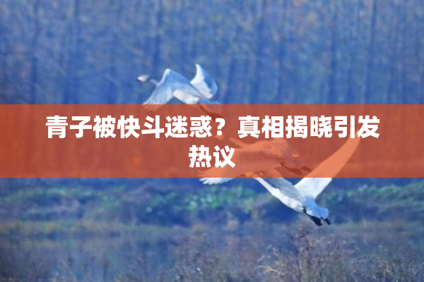 青子被快斗迷惑？真相揭晓引发热议