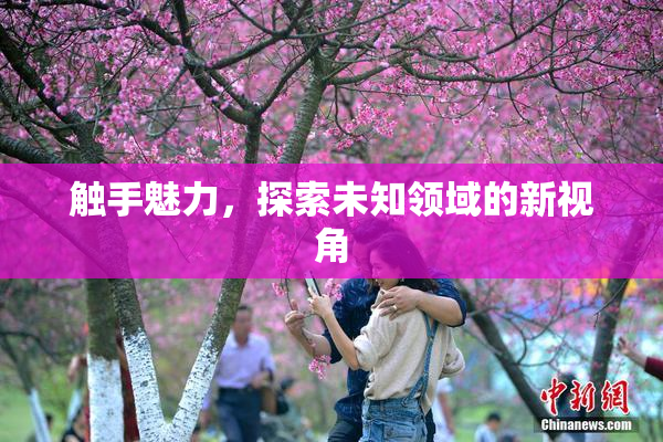 触手魅力，探索未知领域的新视角