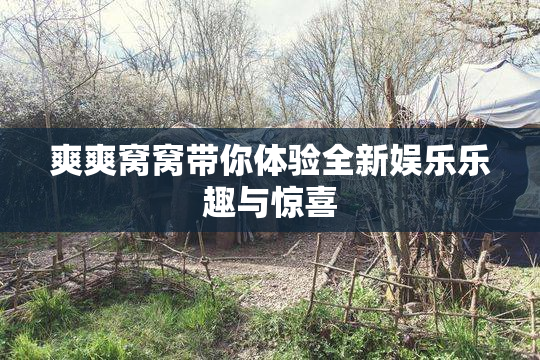 爽爽窝窝带你体验全新娱乐乐趣与惊喜