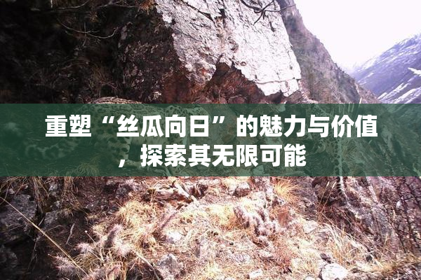 重塑“丝瓜向日”的魅力与价值，探索其无限可能