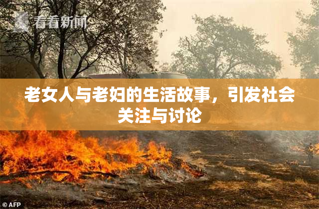 老女人与老妇的生活故事，引发社会关注与讨论