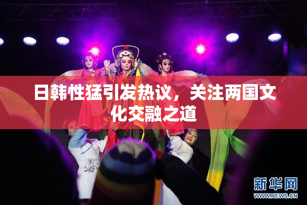 日韩性猛引发热议，关注两国文化交融之道