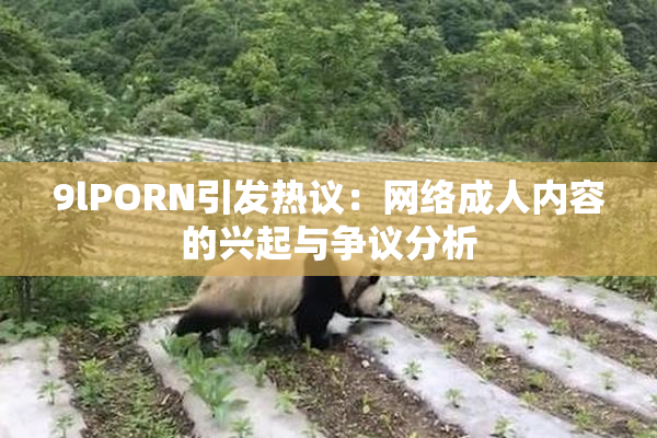 9lPORN引发热议：网络成人内容的兴起与争议分析