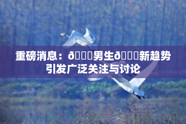 重磅消息：🔞男生🍆新趋势引发广泛关注与讨论