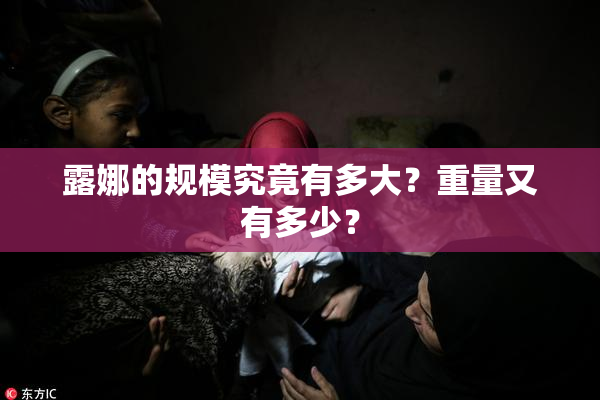 露娜的规模究竟有多大？重量又有多少？